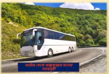 নাটোর থেকে কক্সবাজার বাসের সময়সূচী