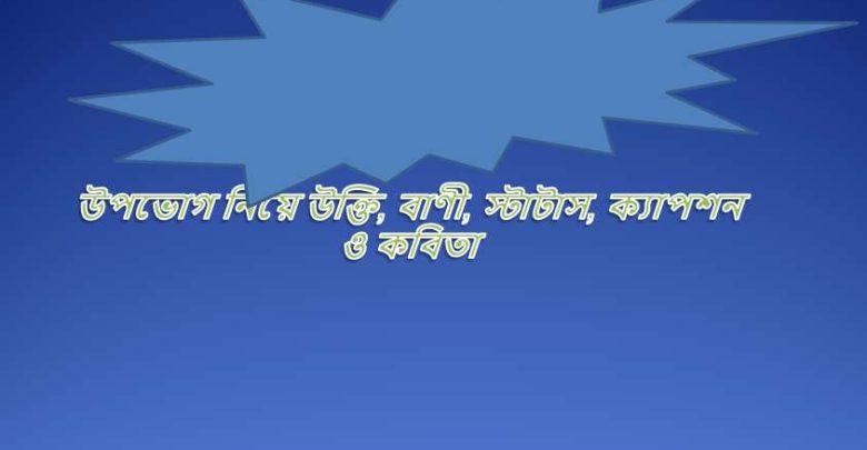 উপভোগ নিয়ে উক্তি, বাণী, স্টাটাস, ক্যাপশন ও কবিতা