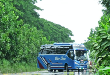 স্টার লাইন স্পেশাল পরিবহনের কাউন্টার নাম্বার